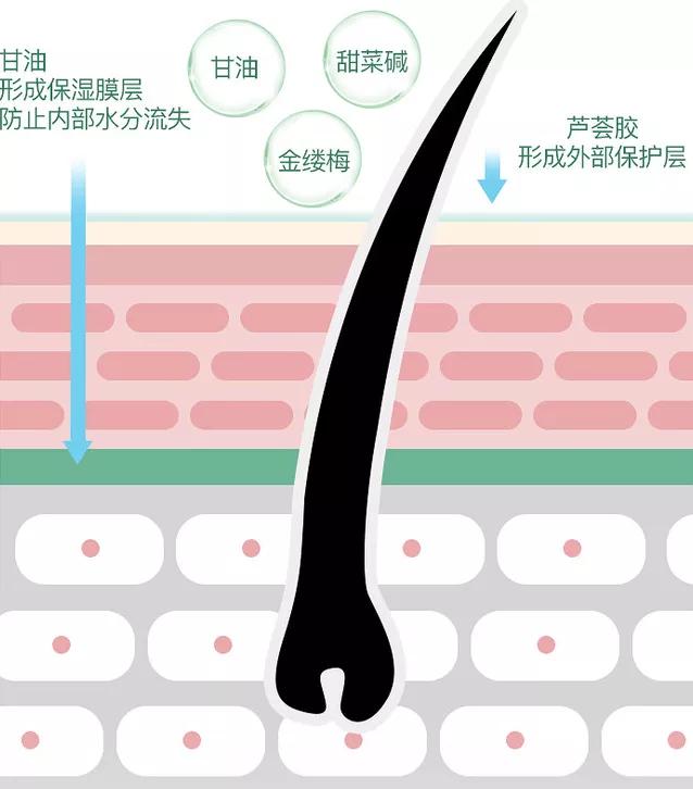 看你的小胡子这么可爱，一定是个男孩纸