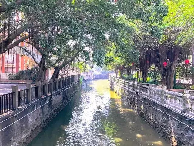 顺德逢简水乡最新视频,顺德逢简水乡