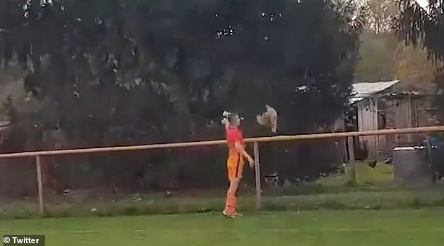 脚力最强的足球运动员,足球运动员脚力