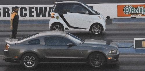 搞笑gif趣图我终于自由了,搞笑gif趣图一步做错步步皆错