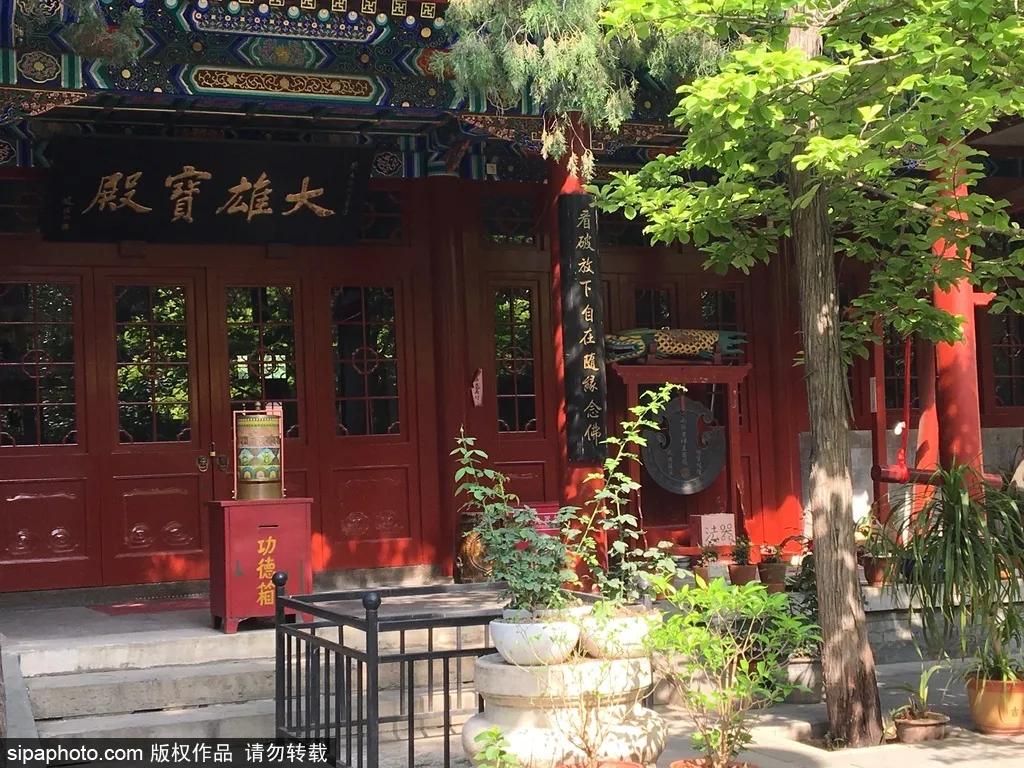 北京免费的花海公园,北京免费花海景区