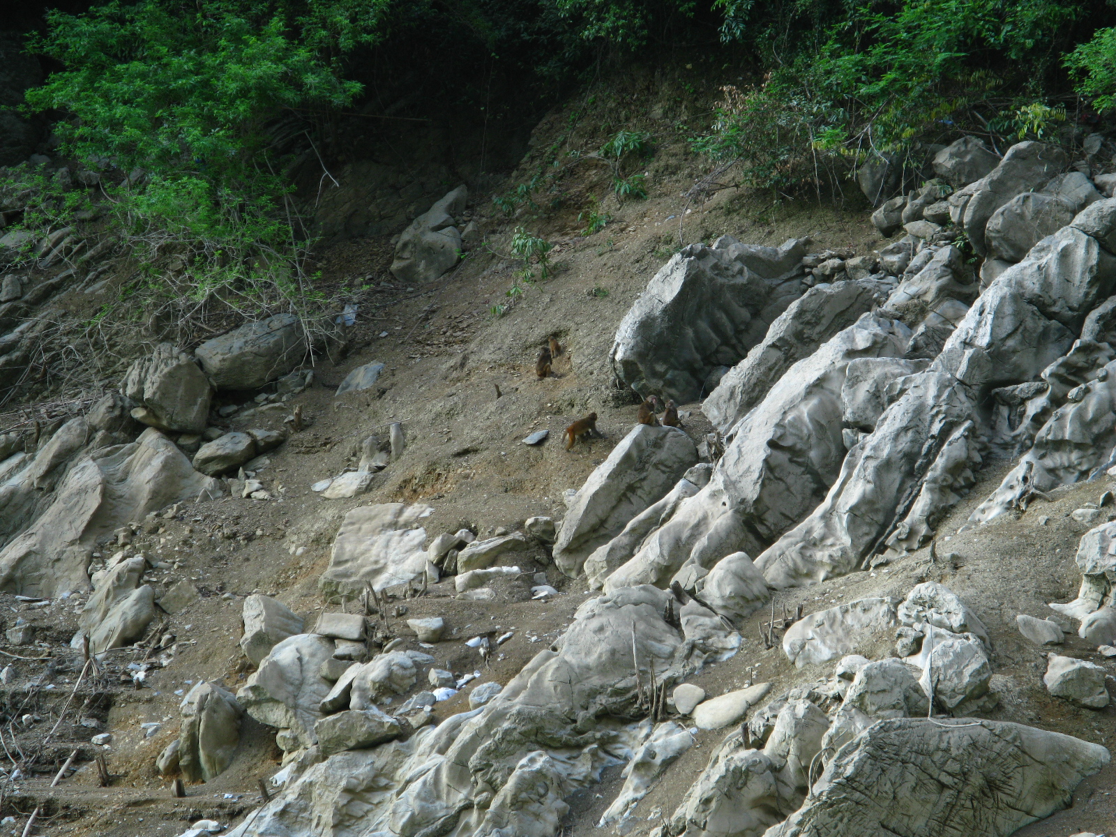生活在别处武隆,武隆印象带来了什么