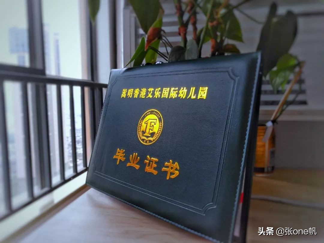 艾乐幼儿园生活技能比赛,艾乐幼儿园社会实践活动