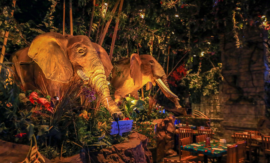 迪拜喷泉旅游攻略,迪拜水族馆游玩攻略