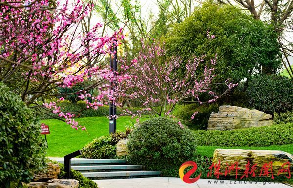 把家安在公园旁是不是很惬意,把家安在市区公园里