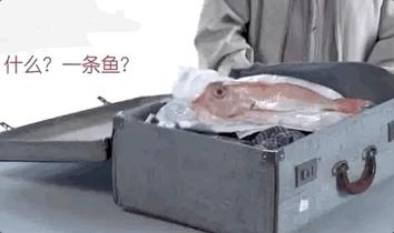 澳洲入境被遣返流程,澳洲三年不准入境禁令怎么解除