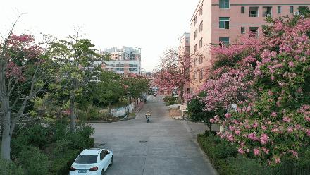 珠海买房过冬真实感受,在珠海买房十大秘诀