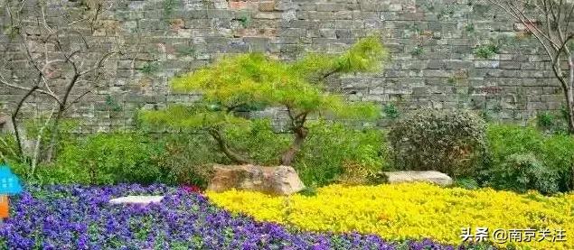 南京入选全国首批试点,南京试点街区