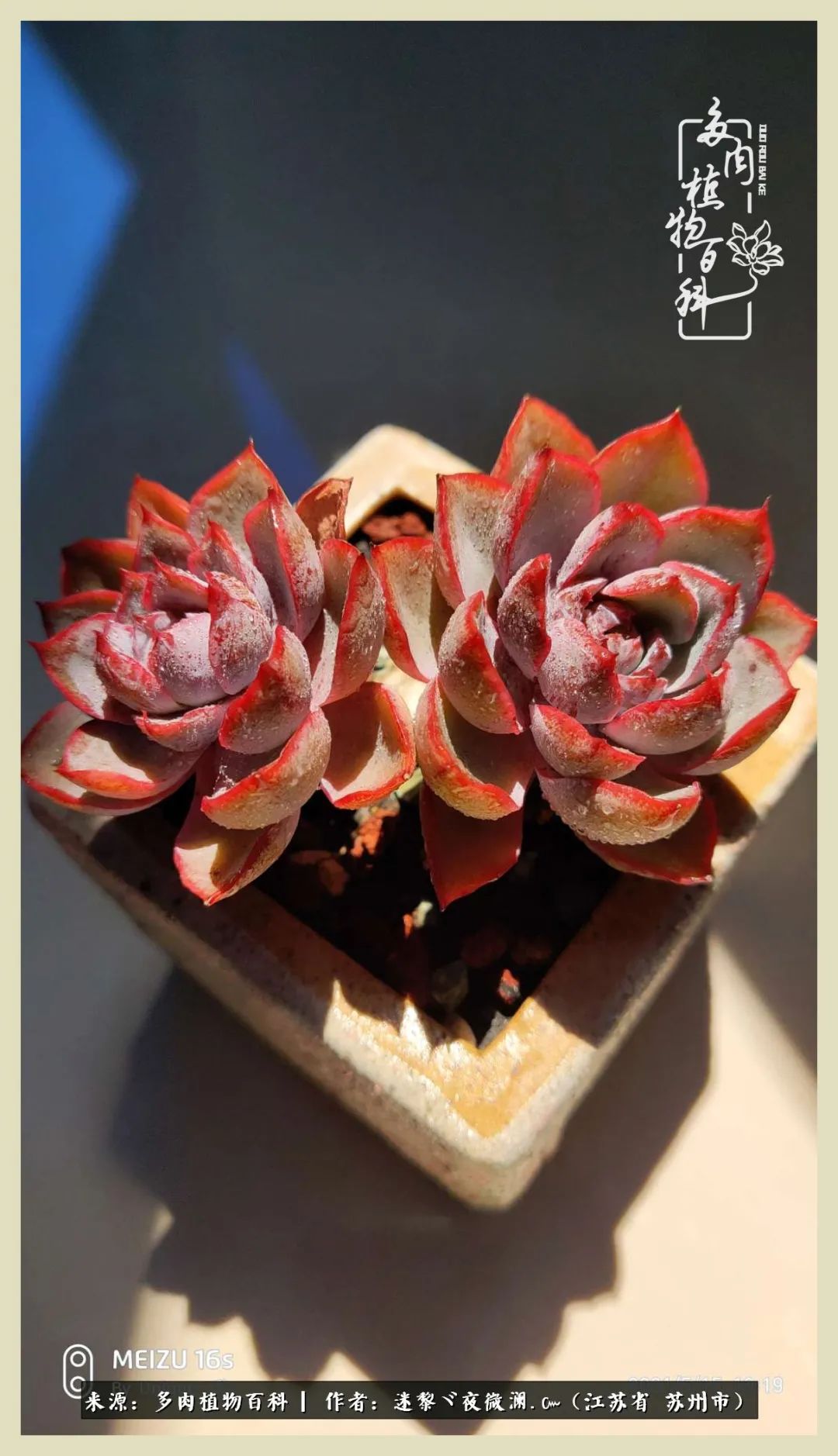 秋尽冬来岁月不居时节如流,岁月不居时节如流水