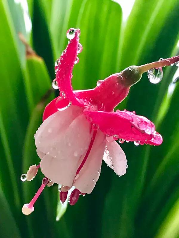 2022年世界手机摄影大赛征稿,手拍世界摄影网