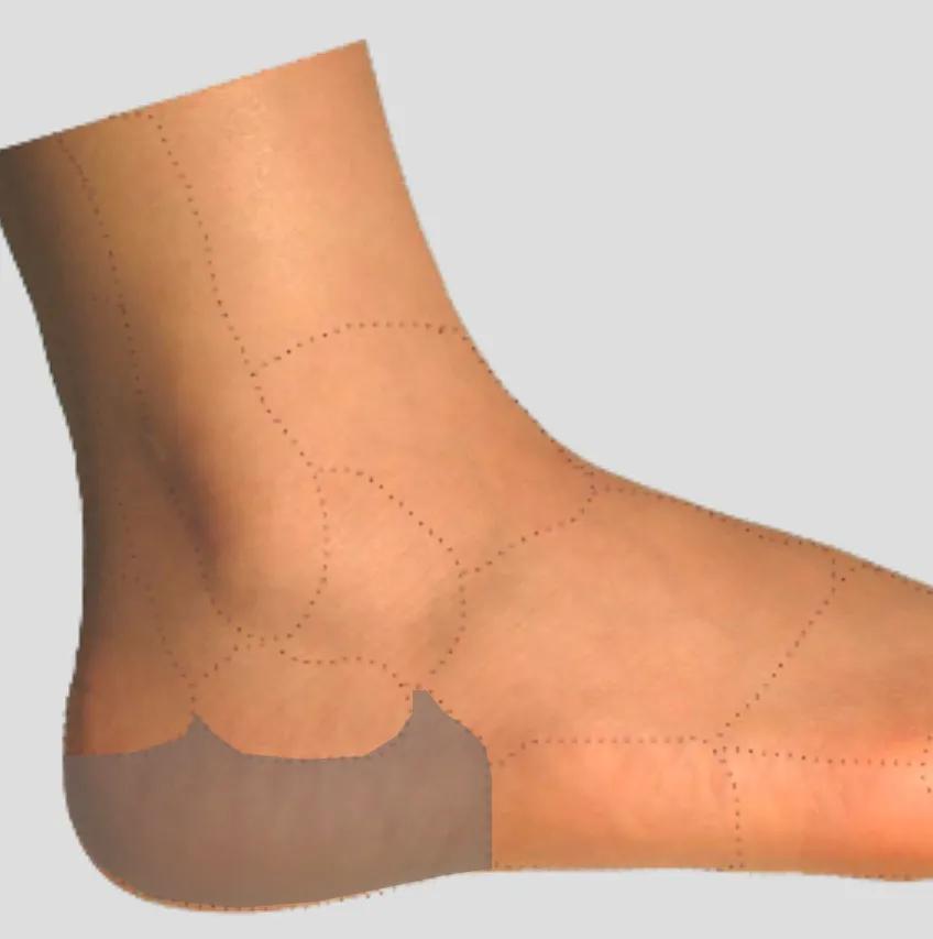 足踝外侧疼痛部位对照表,足踝外侧疼痛的处理方法