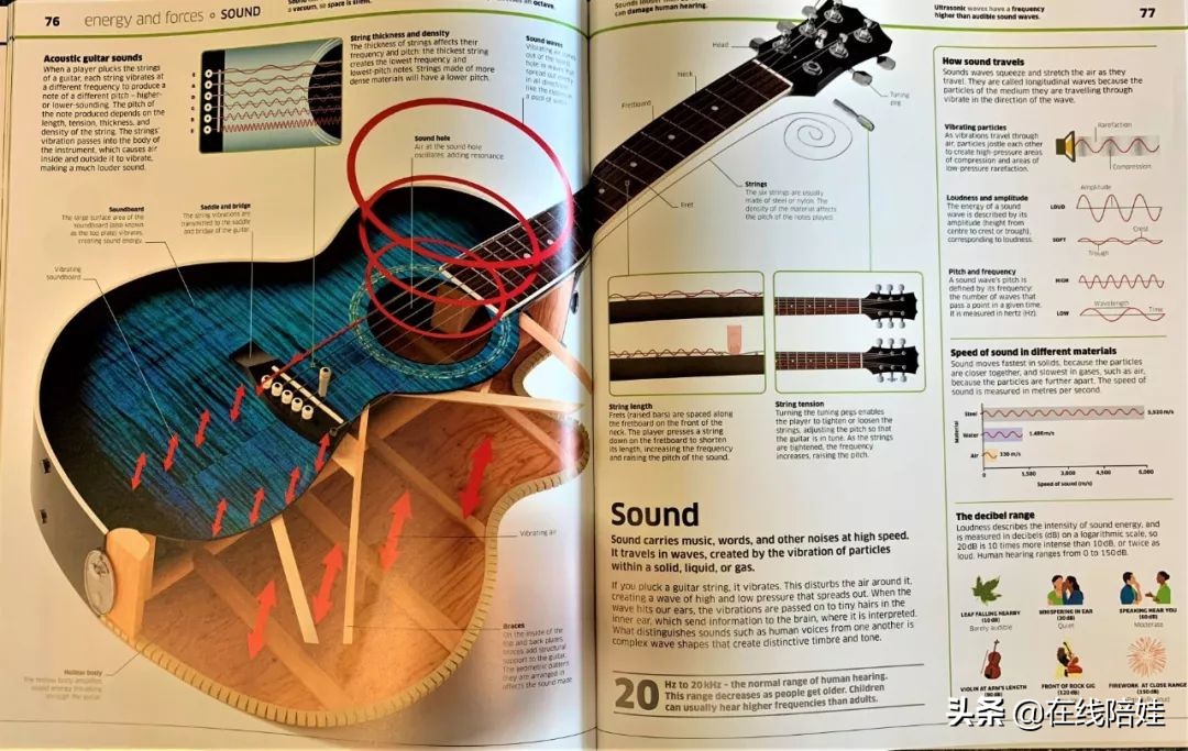 dk知识大百科全套,dk知识大百科书金银版