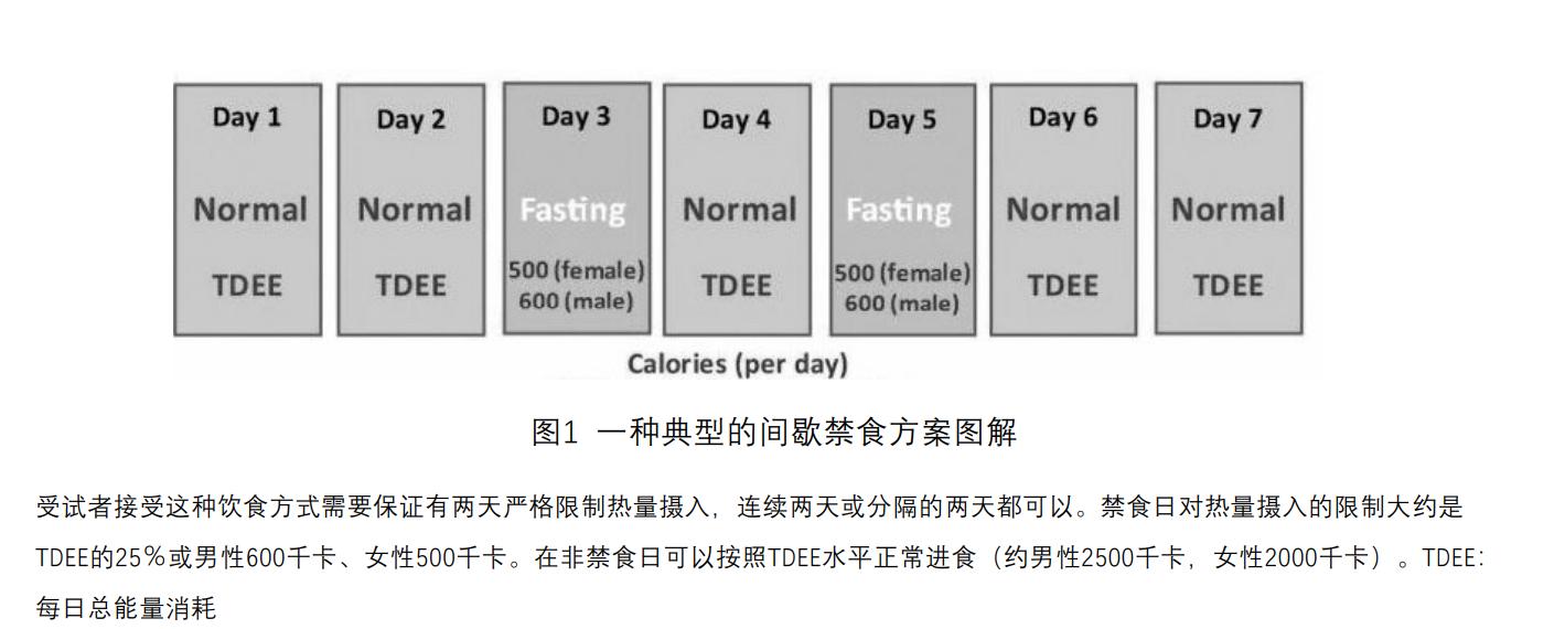 禁食可以改善胰岛素抵抗吗,禁食糖尿病逆转