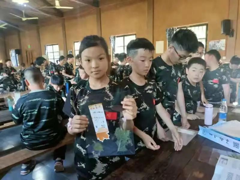 研学旅行孟良崮方案,儿童夏令营研学旅游