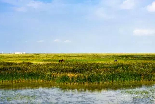 上海超全攻略,上海全天免费最值得去的旅游景点