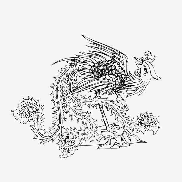 怎样画一个凤凰,怎么画个凤凰