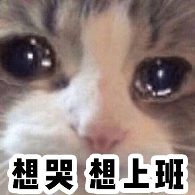 十块钱的假睫毛推荐,10块钱以内的整根假睫毛