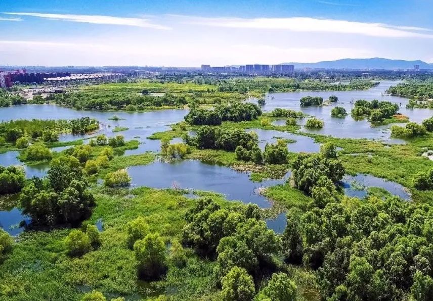 昌平哪个地方的公园最好,昌平区主要公园及景点