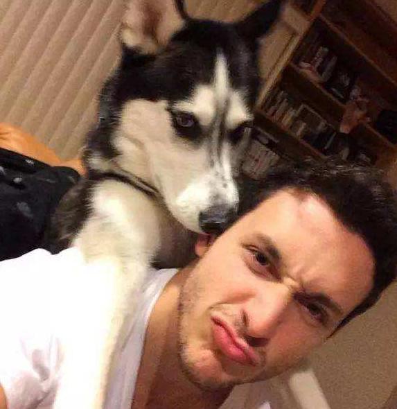 养哈士奇的好处,养哈士奇有什么好处