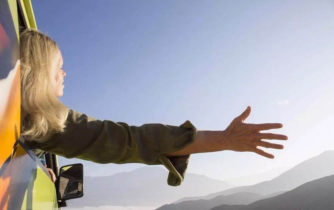 开车无意撞到了小动物该怎么处理,开车行驶撞到动物如何处理