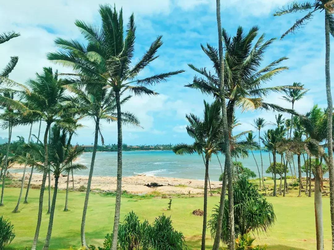 在吸引村上春树买房养老的海岛呆3天，马代帕劳在我心里降到第二