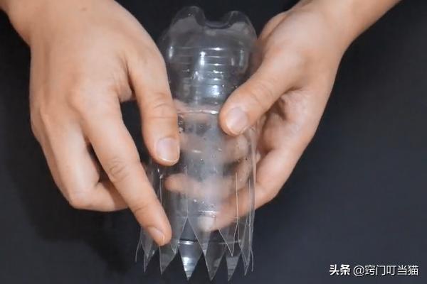 无毒灭老鼠的最佳方法,灭老鼠的1000个方法