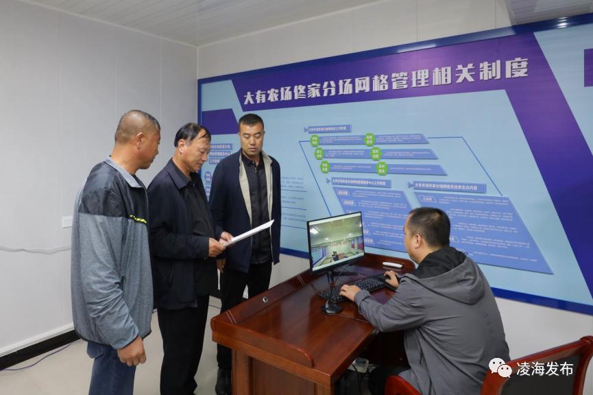 凌海市大有农场,锦州市凌海市大有农场