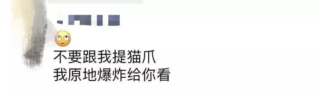 星巴克猫爪杯话题超热,星巴克猫爪杯深夜排队疯抢