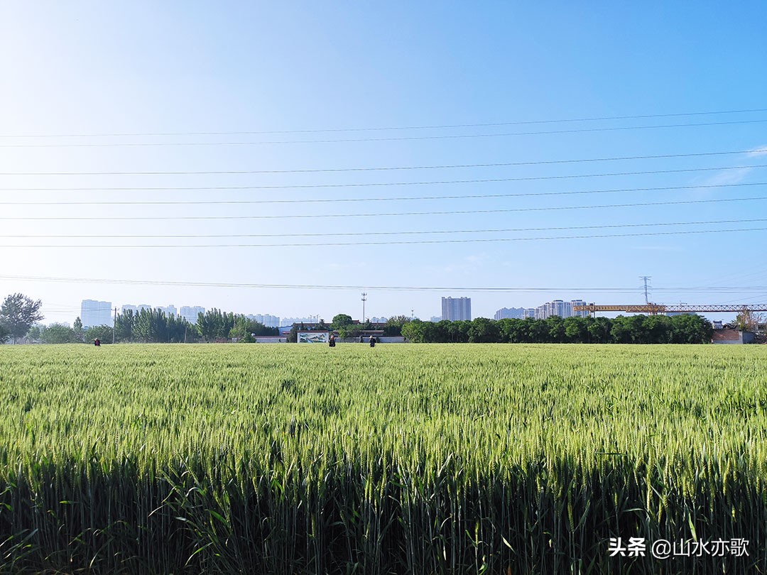 石家庄高新区地上公园,石家庄高新区草原公园