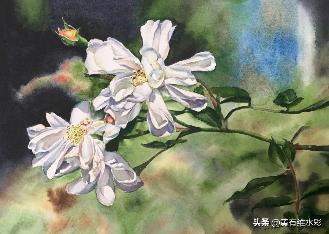 一个理工男的避坑指南,水彩入坑第一天