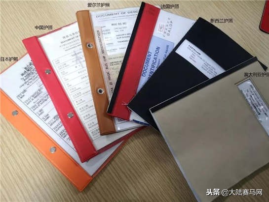 马也有护照？中国、日本的最好辨认，法国居然这么写！