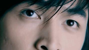 标准桃花眼的男星有哪些,桃花眼的男星有多撩人