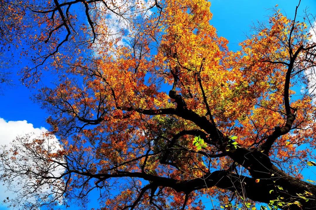 延边迷人风景,延边旅游一日游最佳路线图片