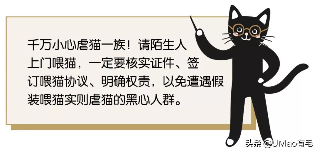 上门喂猫到底怎么样,上门喂猫一般多久一次