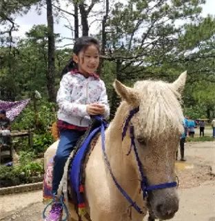 2021年青少年暑假夏令营,cia英语夏令营