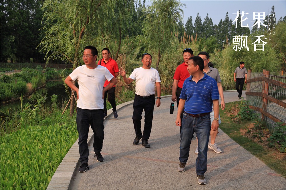 卖文化，卖创意，这家以柑橘为主题的农场好不正经