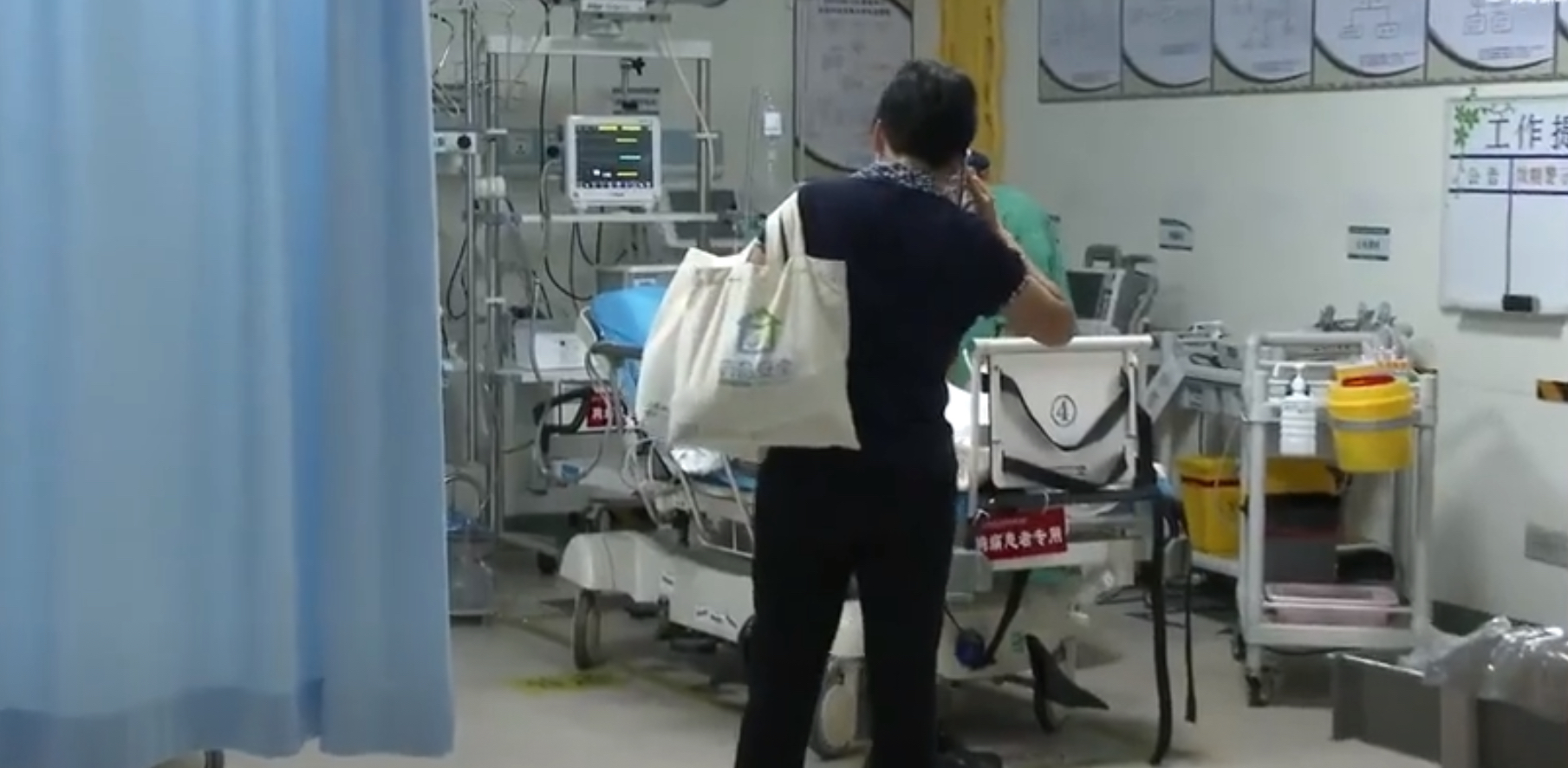 被马蜂蜇伤是意外事件,被马蜂蛰伤怎么救治