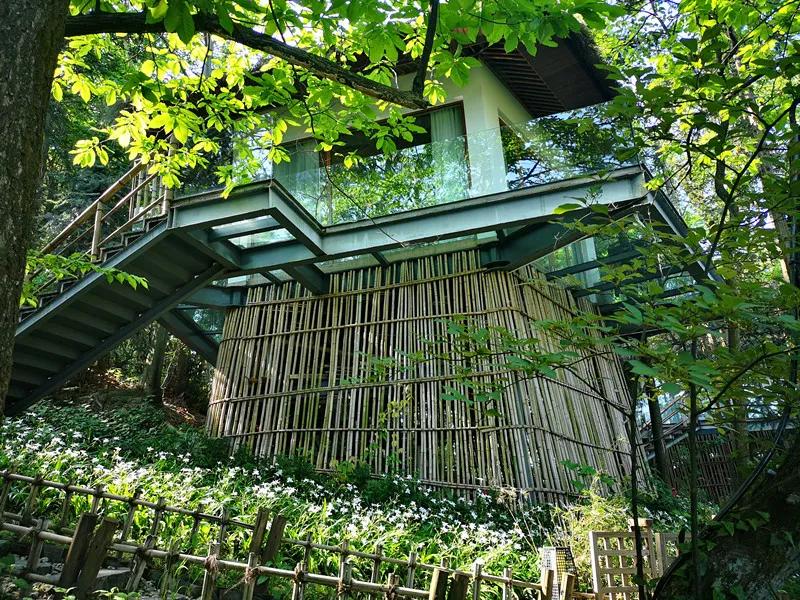 去张家界住哪里比较方便游玩,张家界旅游攻略住在哪最好