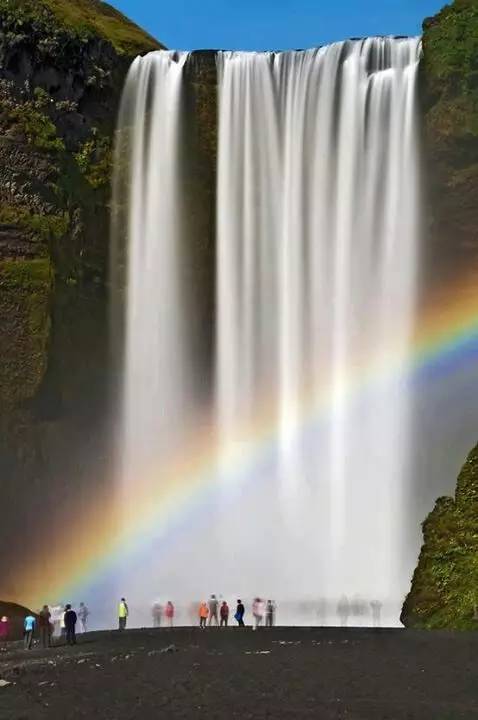 100张会动照片,30张罕见且迷人的图片