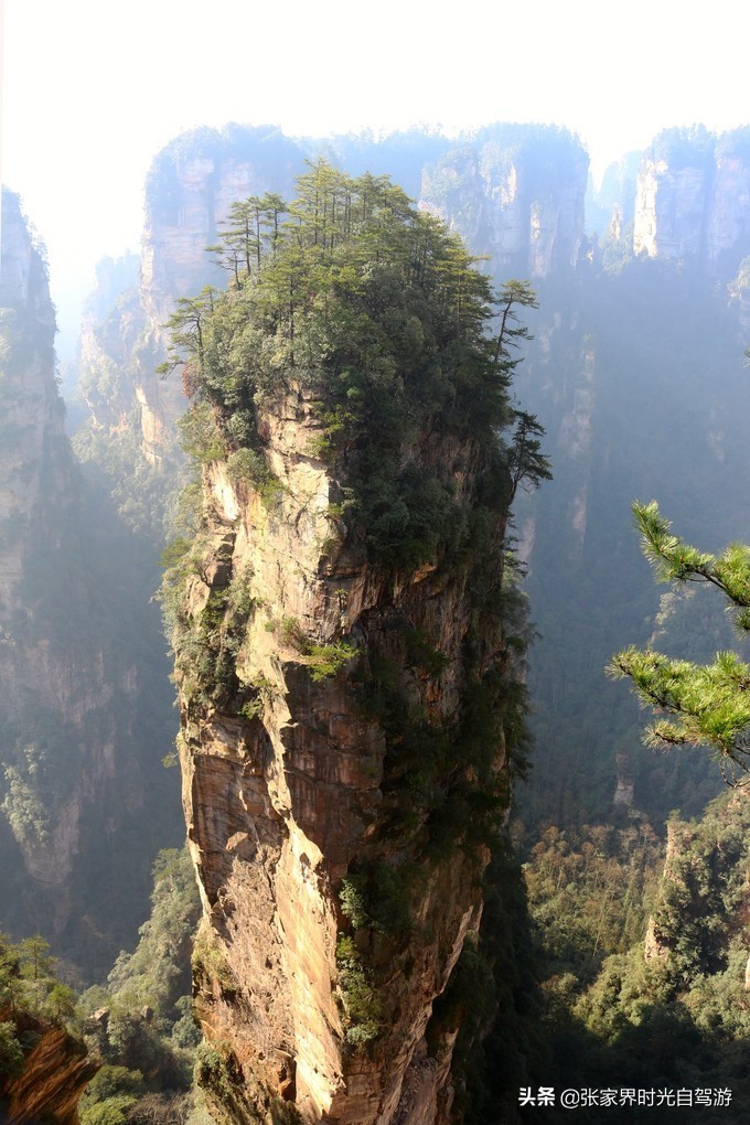 张家界森林公园亲子游攻略,张家界旅游攻略现在张家界气温