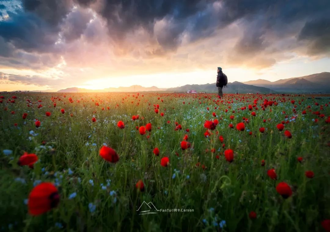 涓嶈兘鍘诲鍦扮殑鐞嗙敱,浜旂浜轰笉鑳藉幓鐤嗗唴鏃呮父