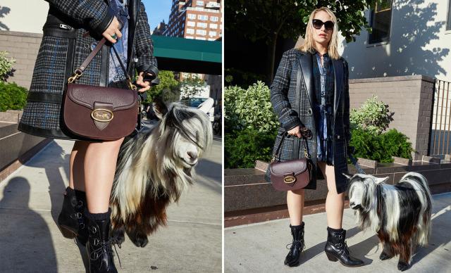 coach蔻驰鉴定,coach蔻驰真伪查询