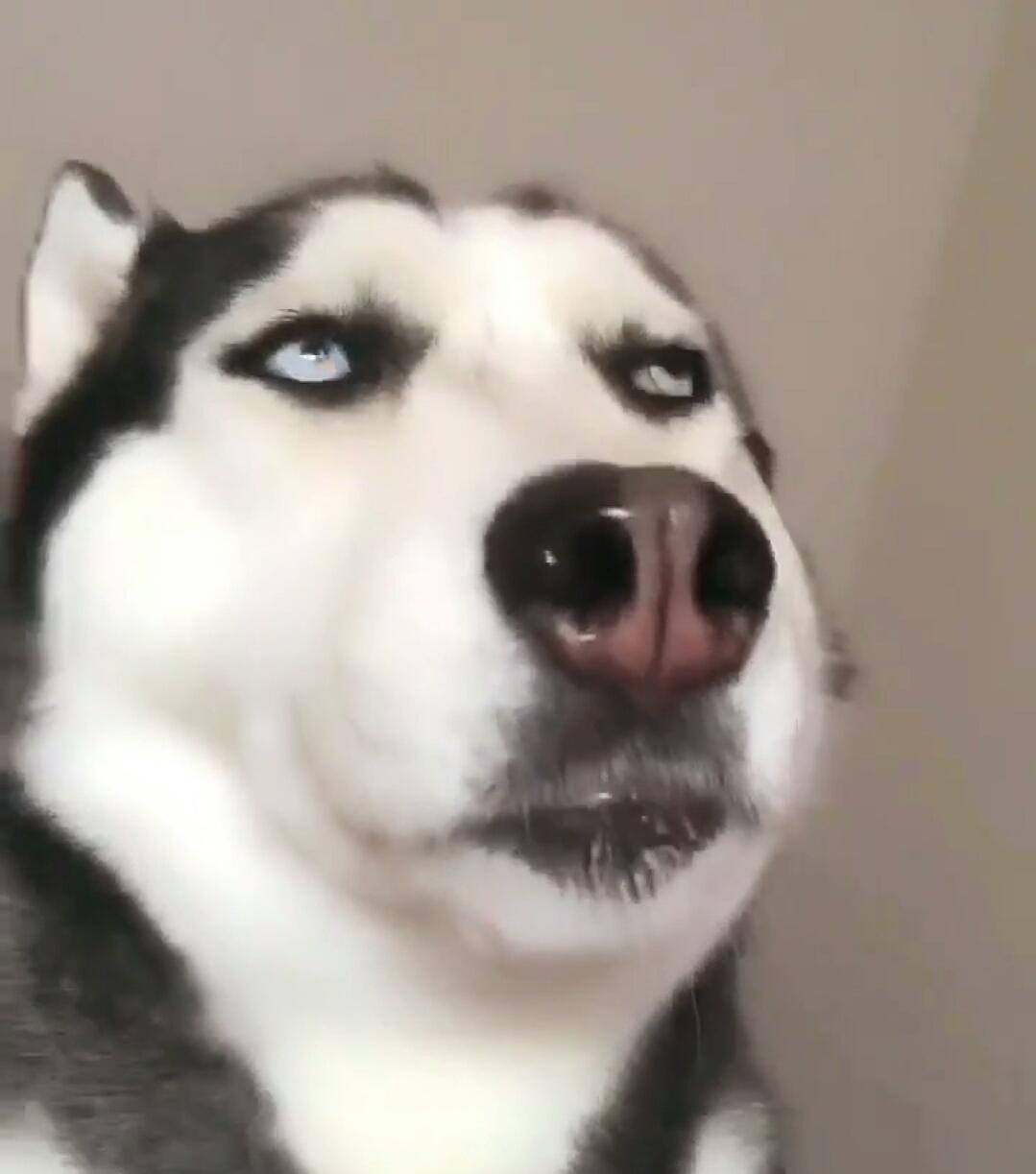 怎么验证真鞋假鞋,耐克假鞋怎么出鉴定报告