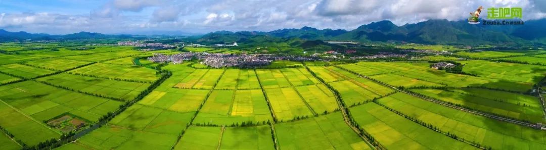 你不知道的台山故事，由旅游局局长亲述，带你看看不一样的台山