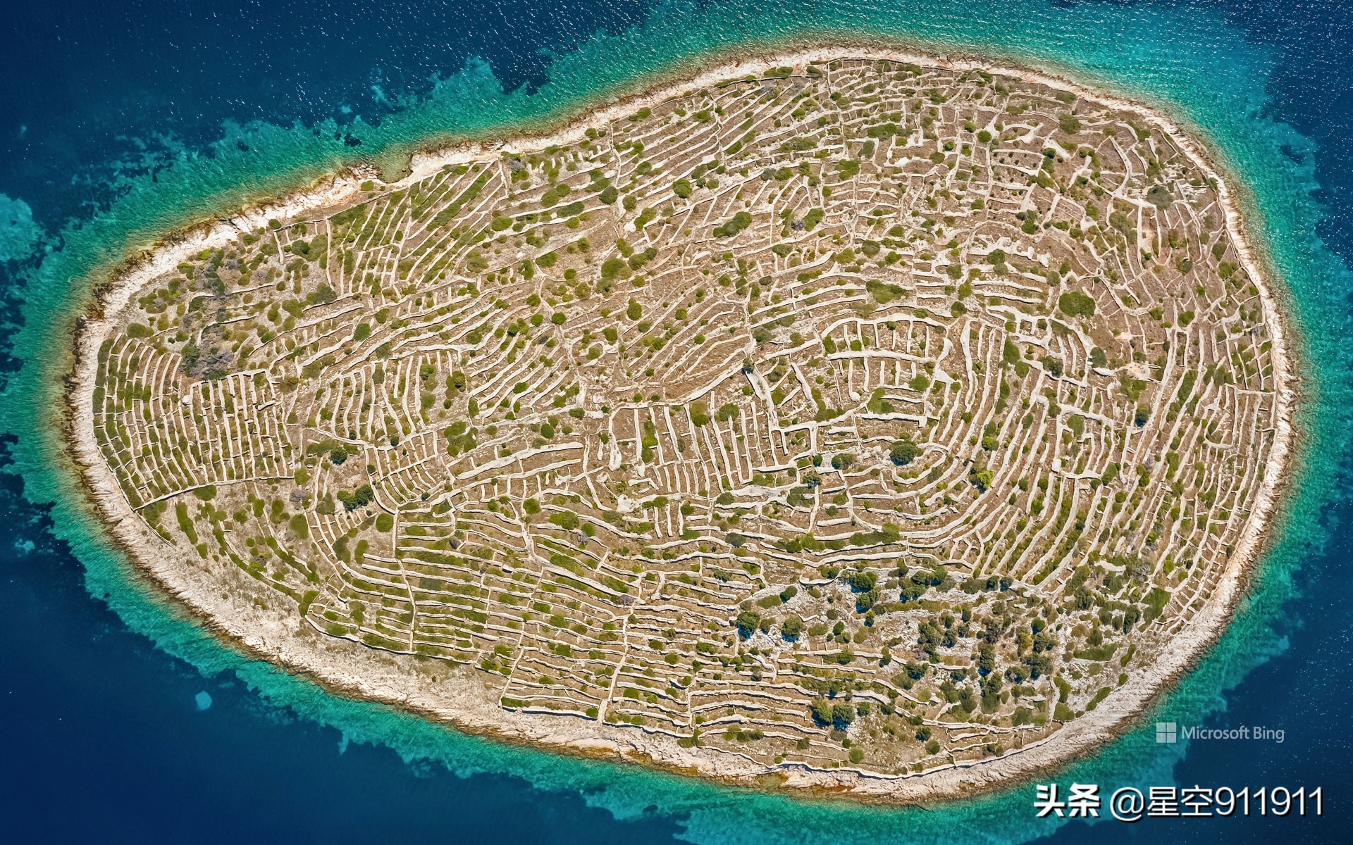 双语文字阅读,独一无二的指纹怎么说