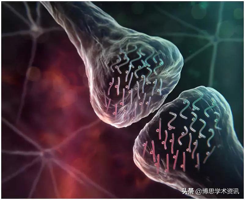 入睡困难是大脑神经出了问题吗,睡眠不好大脑迟钝怎么办