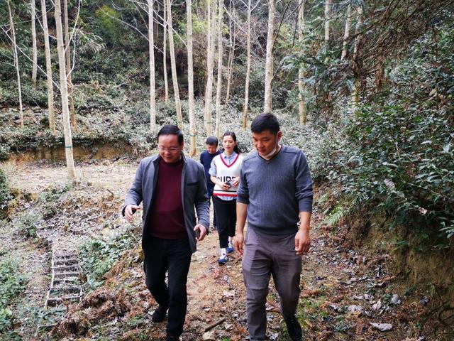 四明山哪里有山黄精,上方山三宝之一黄精