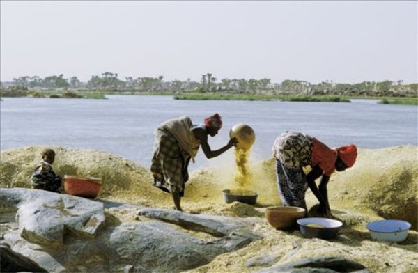 吃肉的国家尼日尔,真实的尼日尔老百姓的生活