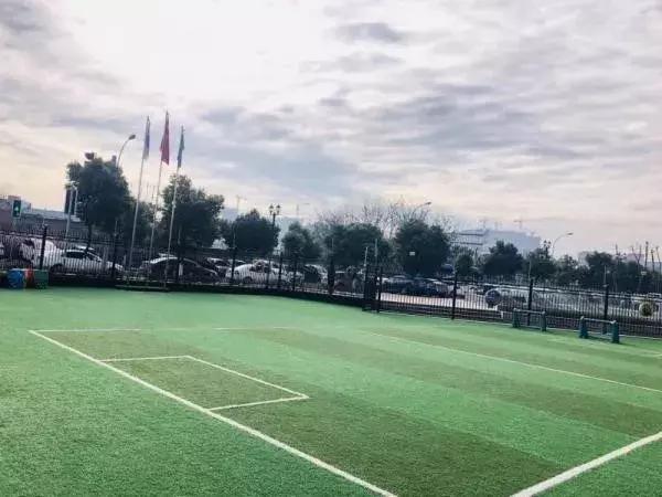 考察蒙氏幼儿园需要了解什么,蒙氏幼儿园东北探园