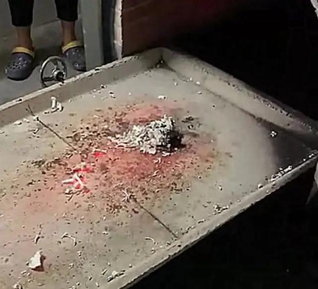 狗狗死亡火化主人哭,狗狗死后火化送去天堂